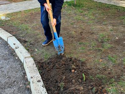 Пролетна инициатива Засади цвете